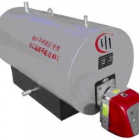 燃油燃?xì)鉄崴仩t