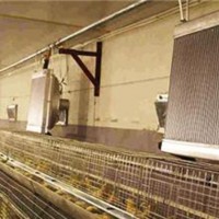 燃煤養雞加溫鍋爐