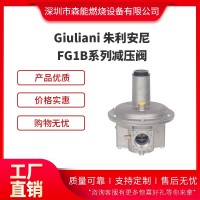 Giuliani朱利安尼FG1B減壓閥調壓閥
