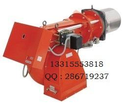 利雅路燃燒器燃燒機(jī)GAS10P/M 