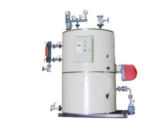 專業配套塑料輔機用小型鍋爐