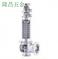 斯派莎克SVL488不銹鋼安全閥