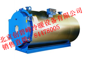 燃油／燃?xì)饴涞厥戒撝棋仩t