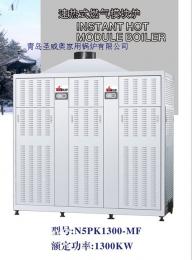 供應意大利圣威奧速熱式模塊爐