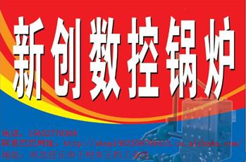 數控環保鍋爐  家用爐