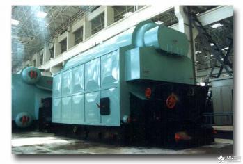 燃生物質蒸汽熱水鍋爐