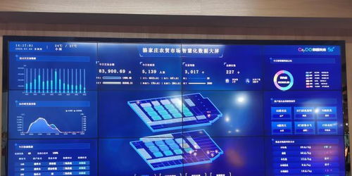 浙江市場 五化 標(biāo)準(zhǔn)落地 商品市場將全面數(shù)字化轉(zhuǎn)型